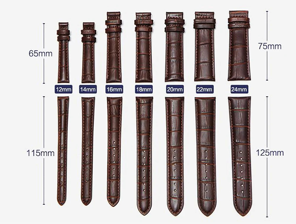 Premium Genuine Leather Watch Band 12–24mm (With Tool)