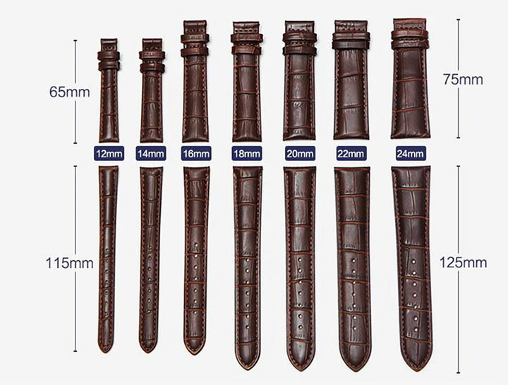 Premium Genuine Leather Watch Band 12–24mm (With Tool)