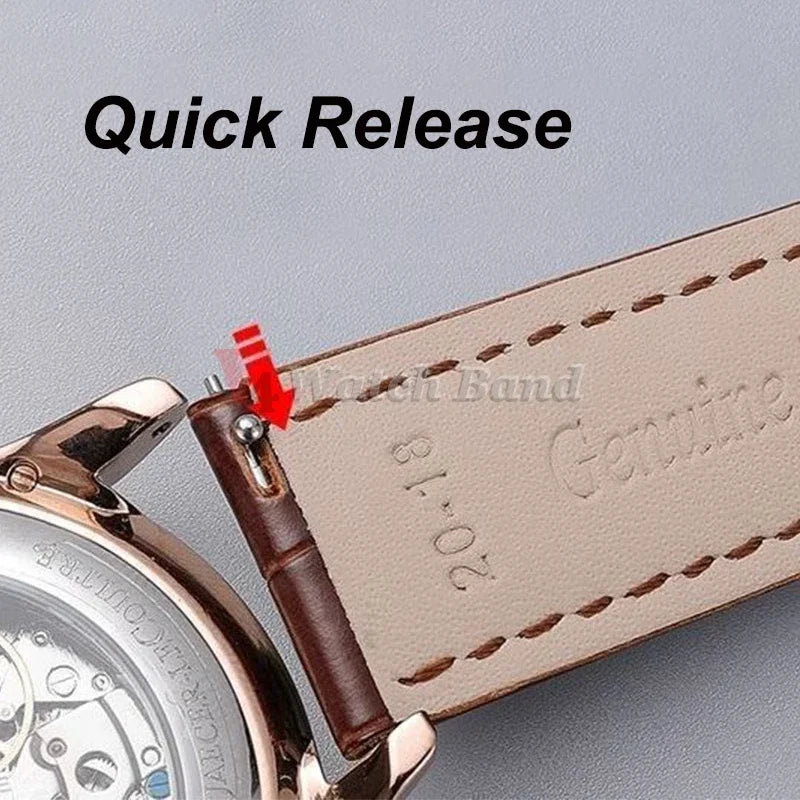 Quick Release Leather Watchband for Omega Business Watch Band for Seiko Butterfly 24mm 22mm 20mm 18mm Buckle Black Brown Strap