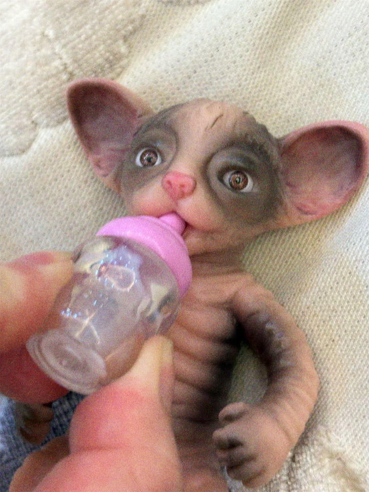 10–11 cm Mini Silicone Tiger Reborn Doll