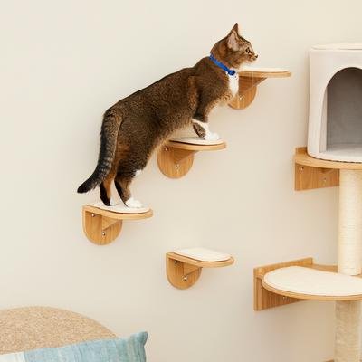 Frisco wall-mounted cat steps, four wooden steps with sisal pads arranged on a wall with a cat climbing