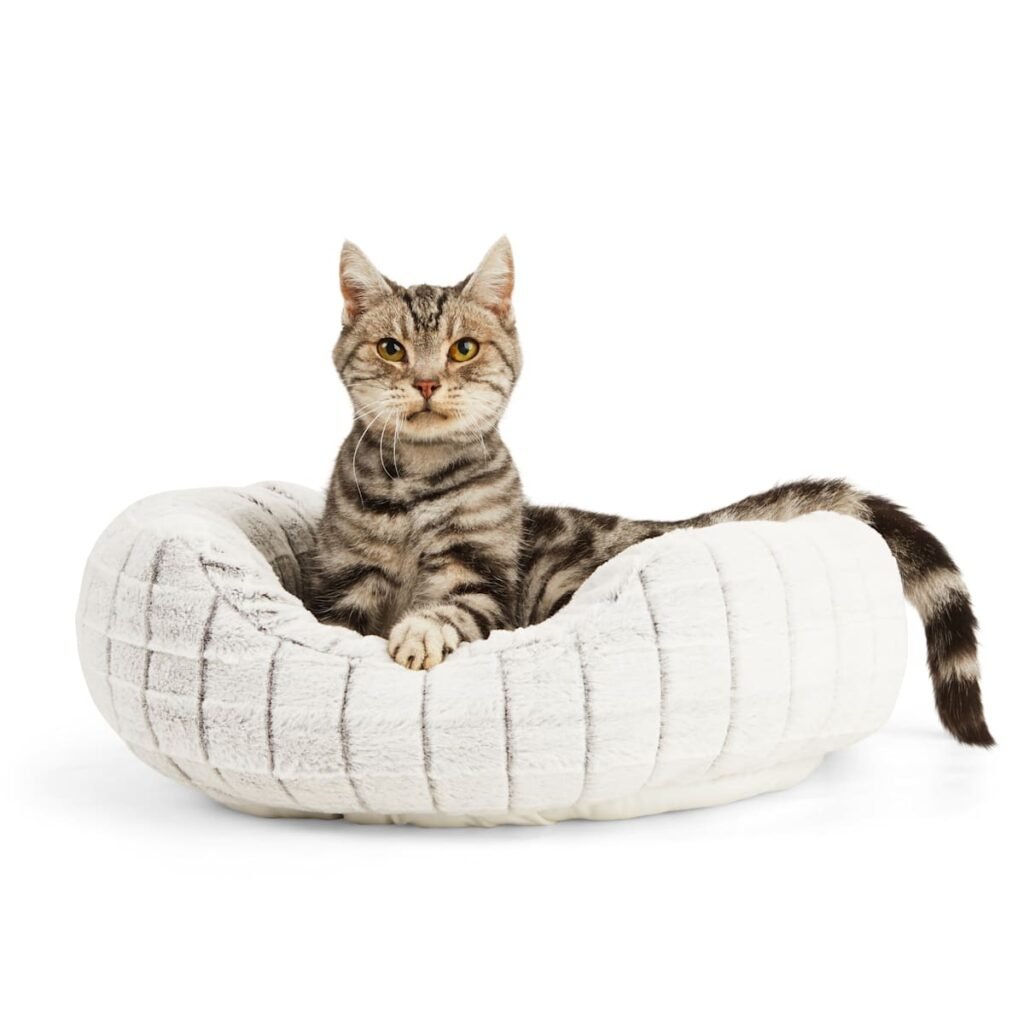 EveryYay Snooze Fest Round Cat Bed