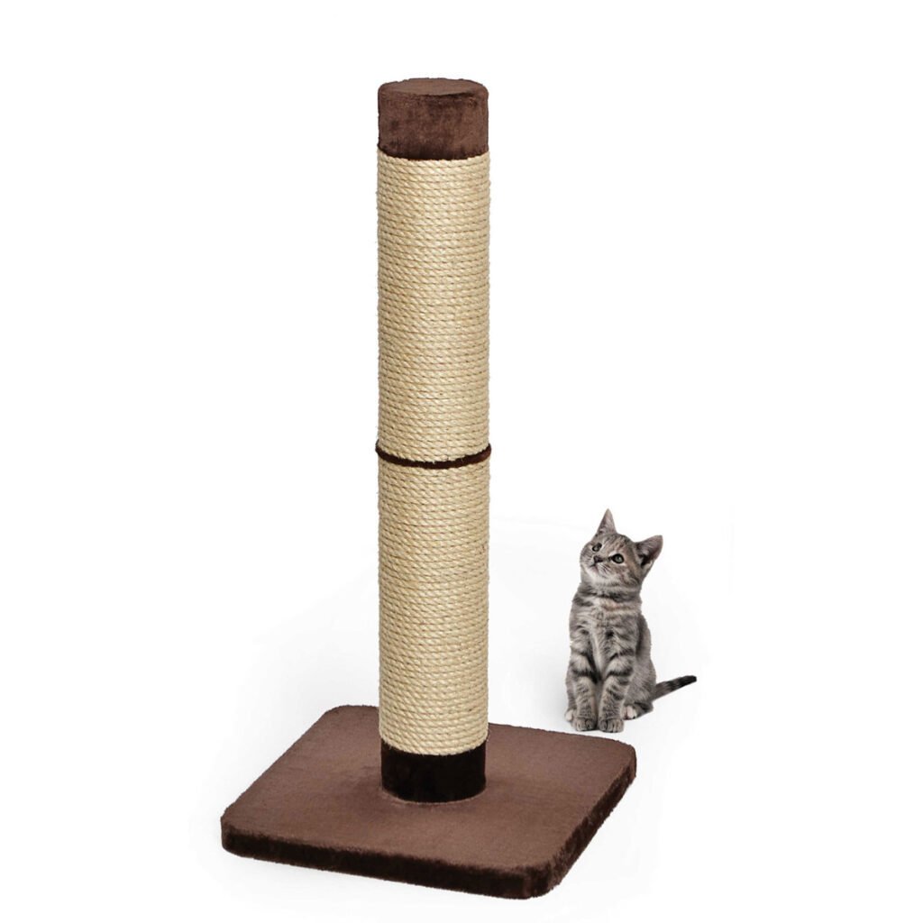 MIDWEST Feline Nuvo Grand Forte 41-in