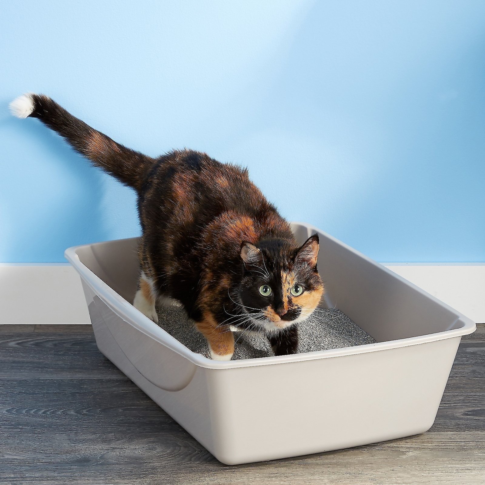 Petmate jumbo litter pan in gray