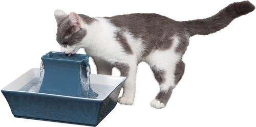 PetSafe Drinkwell Pagoda ceramic pet fountain in Himalayan Blue