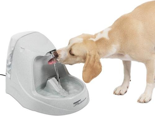 PetSafe Drinkwell Platinum pet water fountain, 168 ounce