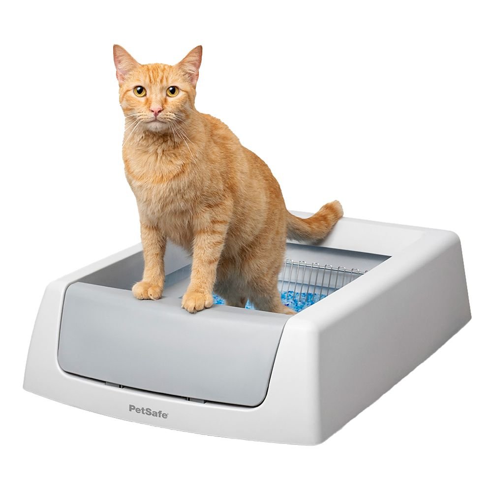 PetSafe ScoopFree Crystal Classic self-cleaning litter box with an orange cat