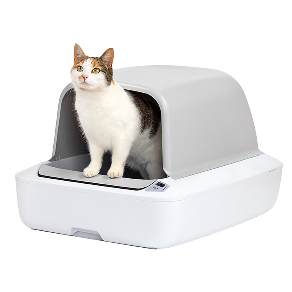 PetSafe ScoopFree Crystal Pro hooded self-cleaning litter box with a cat