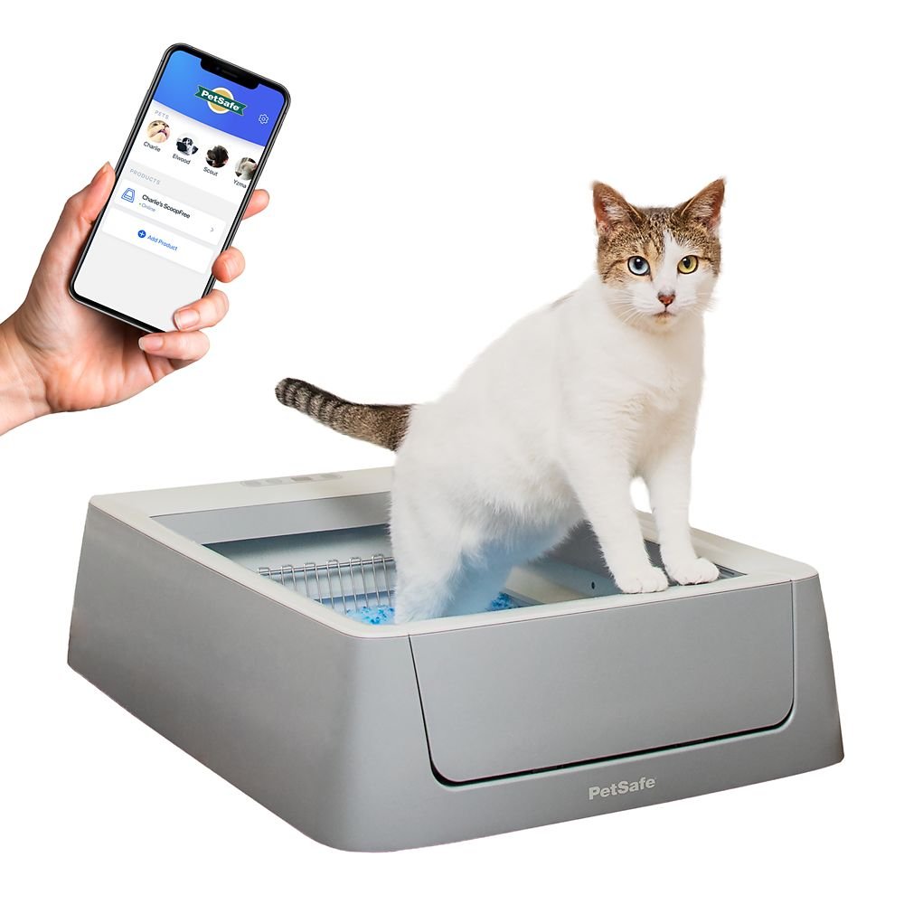 PetSafe ScoopFree Crystal Smart self-cleaning litter box with a phone showing the app