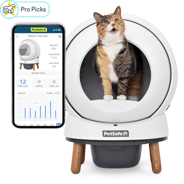 PetSafe ScoopFree SmartSpin self-cleaning litter box in white with a cat sitting inside it